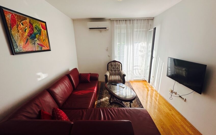 JEDNOSOBAN NAMJEŠTEN STAN 42 m² – TUŠKI PUT