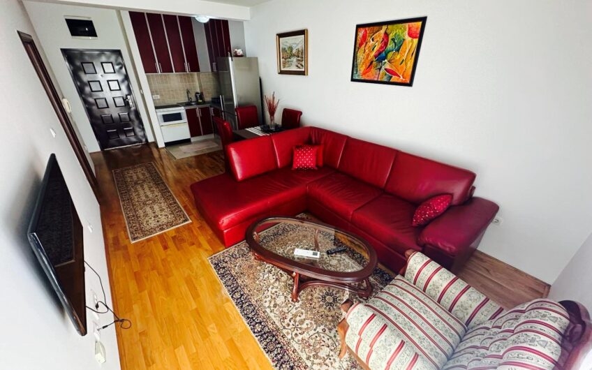 JEDNOSOBAN NAMJEŠTEN STAN 42 m² – TUŠKI PUT
