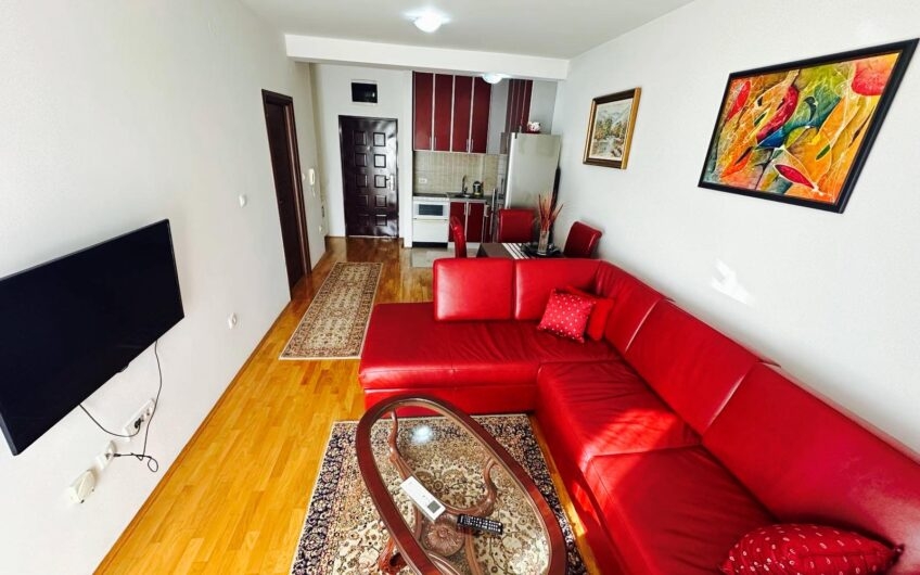 JEDNOSOBAN NAMJEŠTEN STAN 42 m² – TUŠKI PUT