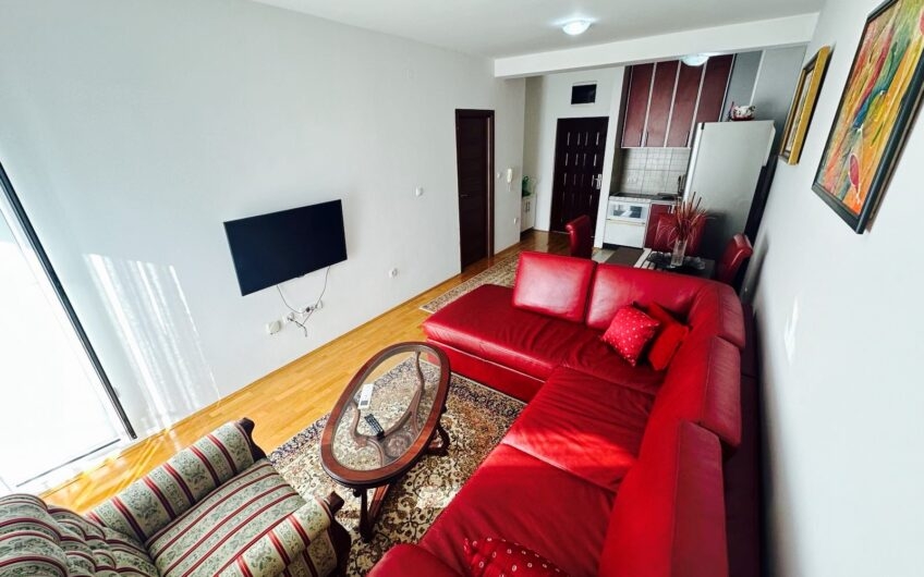 JEDNOSOBAN NAMJEŠTEN STAN 42 m² – TUŠKI PUT
