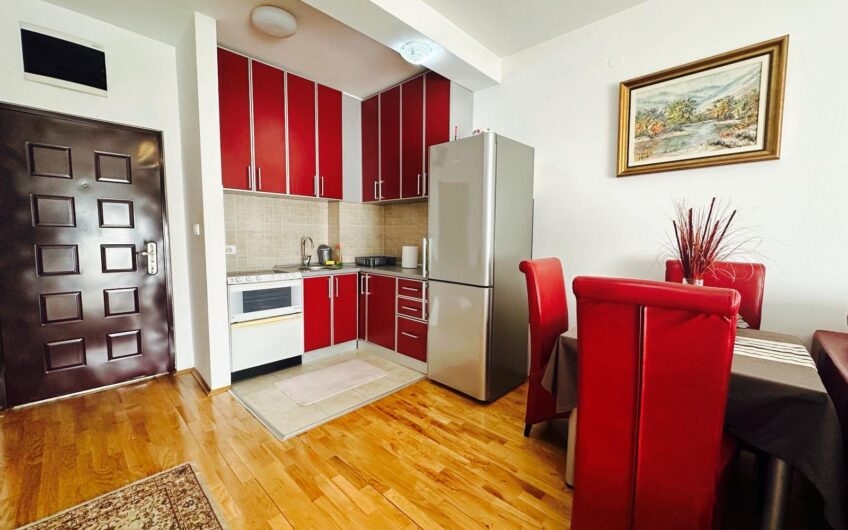 JEDNOSOBAN NAMJEŠTEN STAN 42 m² – TUŠKI PUT