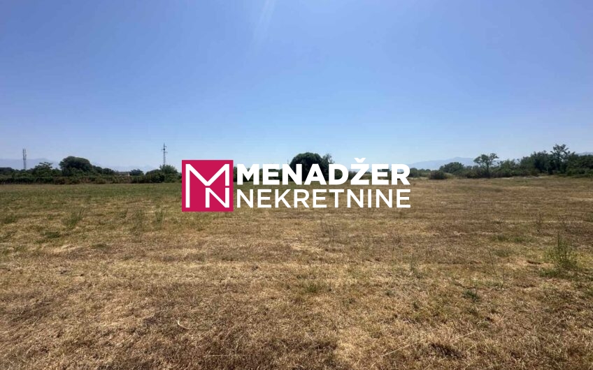 PLAC 10 500 m2 – ZETA