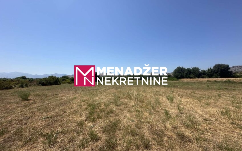 PLAC 10 500 m2 – ZETA