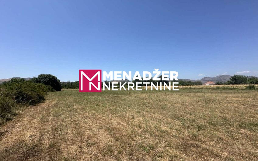 PLAC 10 500 m2 – ZETA