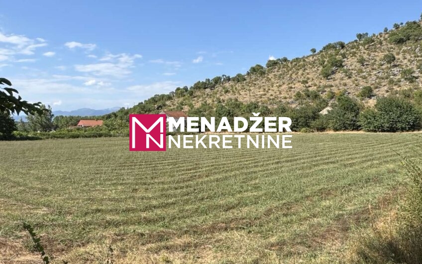 PLAC 10 000 m2 – KOMANI