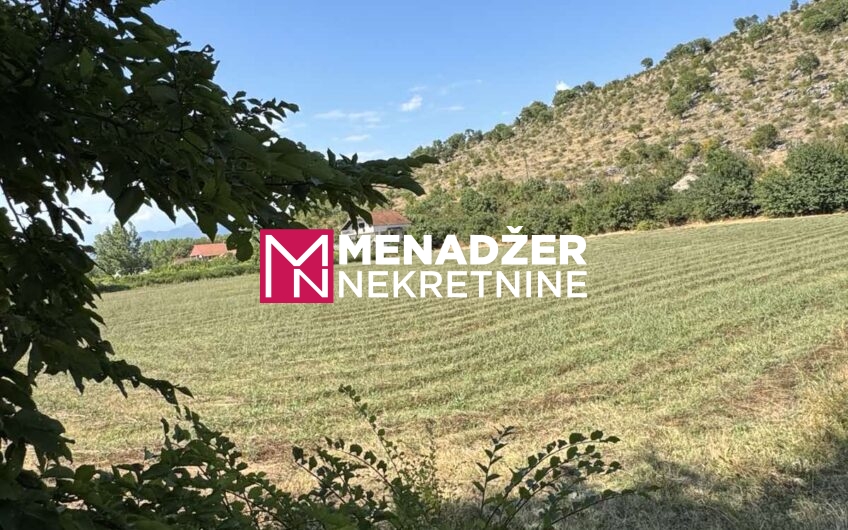 PLAC 10 000 m2 – KOMANI