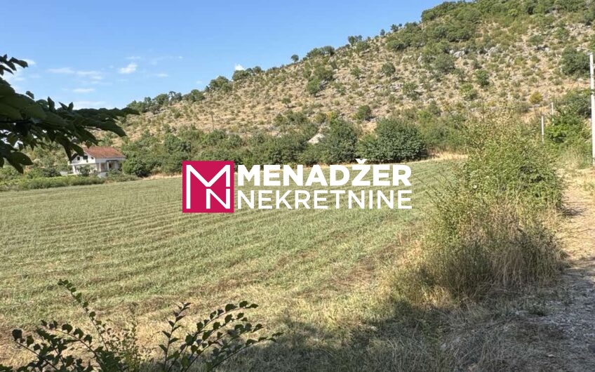 PLAC 10 000 m2 – KOMANI