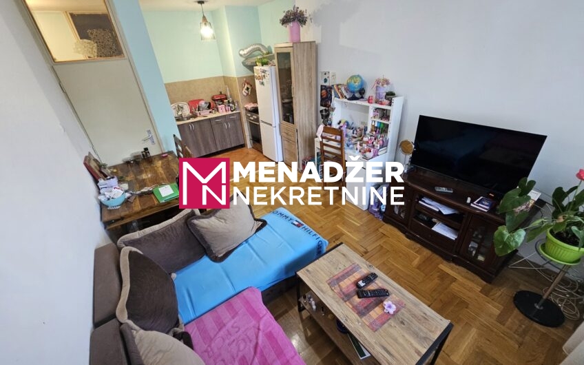 JEDNOSOBAN STAN 46 m2 – KOD GINTAŠA