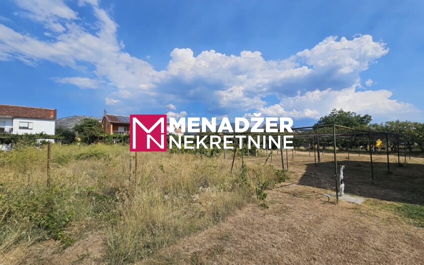 PLAC 550 m2 – MASLINE