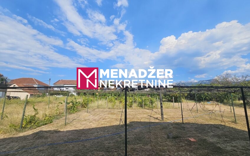 PLAC 550 m2 – MASLINE