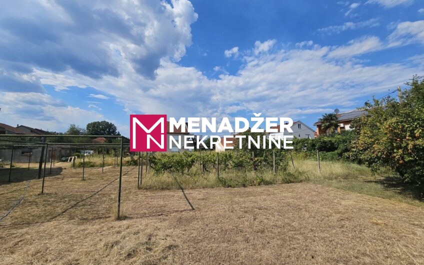 PLAC 550 m2 – MASLINE